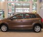 Volkswagen Polo 2023 - màu nâu hổ phách xe nhập Đức giá rẻ cứng chắc an toàn - Có xe giao ngay