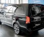 Mercedes-Benz V250 2019 - Bao đậu bank 70-90%