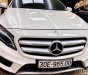 Mercedes-Benz GLA 250 2017 - Chính chủ bán