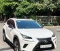 Lexus NX 300 2019 - Cực đẹp màu trắng