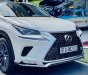 Lexus NX 300 2018 - Model 2019