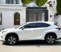 Lexus NX 300 2020 - Nước sơn zin 100% xe gia đình sử dụng ít