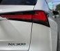 Lexus NX 300 2018 - Model 2019