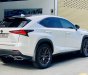 Lexus NX 300 2018 - Model 2019