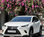 Lexus NX 300 2020 - Nước sơn zin 100% xe gia đình sử dụng ít