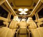 Ford Tourneo   Titanium Limousine (Autokingdom) 2020 2020 - Ford Tourneo Titanium Limousine (Autokingdom) 2020