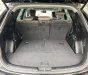 Hyundai Santa Fe 2016 - Màu đen