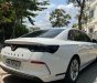 VinFast LUX A2.0 2019 - Odo 29.000 km