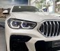 BMW X6 2023 - Ưu đãi tiền mặt tháng 3, quà tặng cùng phụ kiện full