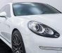 Porsche Panamera 2014 - Xe gia đình, giá tốt 2 tỷ 350tr