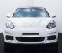 Porsche Panamera 2014 - Xe gia đình, giá tốt 2 tỷ 350tr