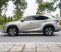 Lexus NX 300 2020 - Màu xám, nhập khẩu số tự động