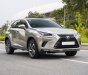 Lexus NX 300 2020 - Màu xám, nhập khẩu số tự động