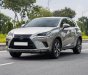 Lexus NX 300 2020 - Màu xám, nhập khẩu số tự động