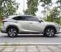 Lexus NX 300 2020 - Màu xám, nhập khẩu số tự động