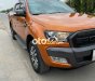 Ford Wind star cần bán bán tải 2016 - cần bán bán tải