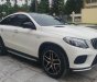 Mercedes-Benz GLE 43 2019 - Là dòng xe siêu hiếm tại thị trường Việt Nam