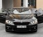 BMW 428i 2016 - BMW Thể Thao,Rộng Rãi,Mạnh Mẽ,Cá Tính