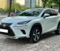 Lexus NX 300 2021 - Biển tỉnh