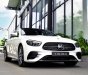 Mercedes-Benz E300 2022 - xe mới