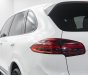 Porsche Cayenne 2017 - Cá nhân biển HN