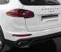 Porsche Cayenne 2017 - Cá nhân biển HN