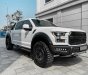 Ford F 150 2019 - Cực chất