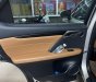 Lexus RX 300 2020 - Xe cọp