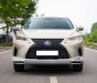 Lexus RX 450 2019 - Model 2020