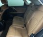 Lexus RX 300 2020 - Xe cọp