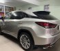Lexus RX 300 2020 - Xe cọp