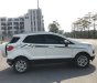 Ford EcoSport 2017 - Odo 8 vạn km