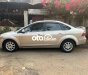 Ford Focus 2009 - focus