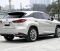 Lexus RX 450 2019 - Xe đi ở tỉnh còn cực mới