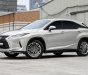 Lexus RX 450 2019 - Xe đi ở tỉnh còn cực mới