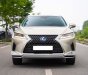 Lexus RX 450 2019 - Odo: 4,3 vạn km