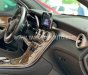 Mercedes-Benz GLC 250 2017 - Chất xe cực đẹp, bảo dưỡng định kì