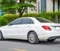 Mercedes-Benz C 250 2016 - Trắng, nội thất kem