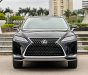 Lexus RX 350 2020 - Xe cực mới