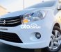 Suzuki Celerio chào bán Xe gia đình   2019 1.0 MT 2019 - chào bán Xe gia đình Suzuki Celerio 2019 1.0 MT