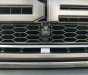 Ford F 150 2019 - Đăng ký 2020, biển 30Gxxx