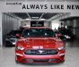 Ford Mustang 2022 - Xe mới 100% chưa lăn bánh
