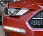 Ford Mustang 2022 - Xe mới 100% chưa lăn bánh