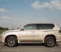 Lexus GX 460 2016 - Lên nhiều đồ chơi