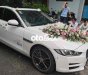 Jaguar XE   đời cuối 2015, màu trắng, máy zin 2015 - Jaguar XE đời cuối 2015, màu trắng, máy zin