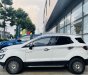 Ford EcoSport 2020 - Lướt 20.000km, xe zin nguyên bản, 1 chủ