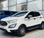 Ford EcoSport 2020 - Lướt 20.000km, xe zin nguyên bản, 1 chủ