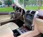 Lexus GX 460 2010 - Xe vừa đăng kiểm dài hạn
