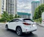 Lexus RX 300 2019 - Biển tỉnh