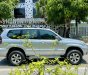 Toyota Land Cruiser Prado 2007 - ĐKLĐ 2008, hai cầu nhập Nhật